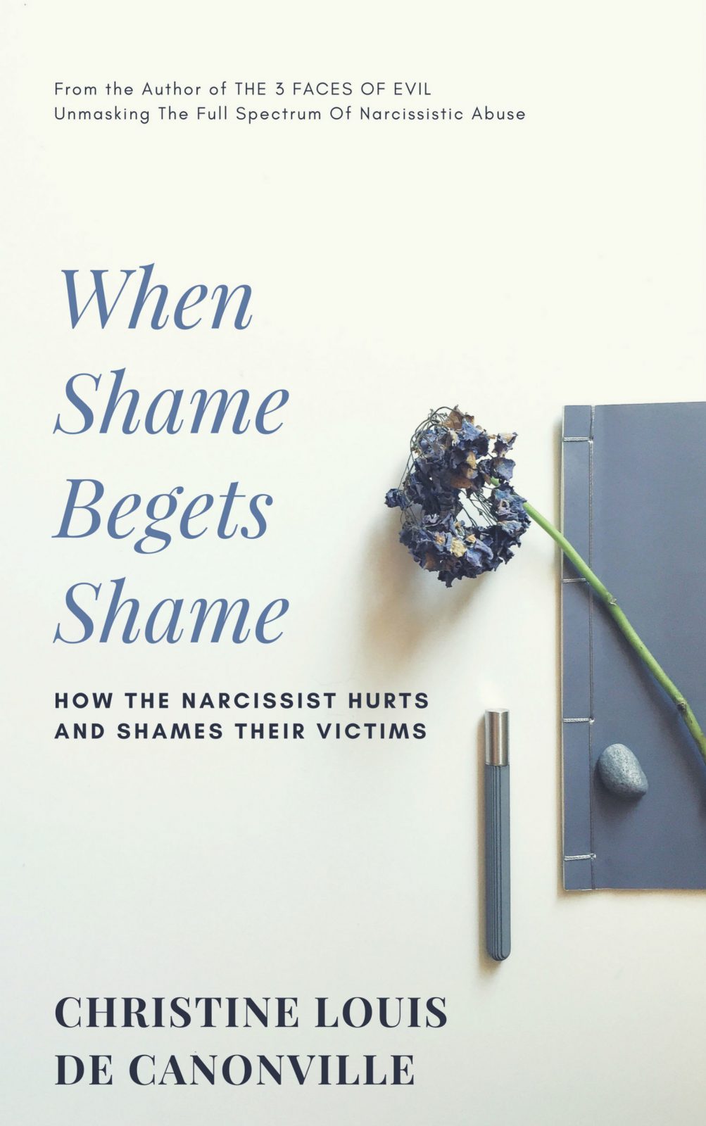 when shame begets shame book cover
